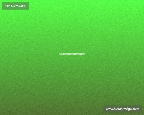 2018赛事全新呈现,参与者尽享便利新篇章 2018赛事全新呈现,参与者尽享便利新篇章