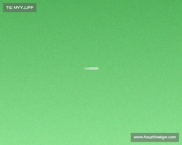 nba篮球各大赛事