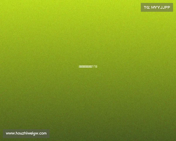 女网赛事、女网赛事11月